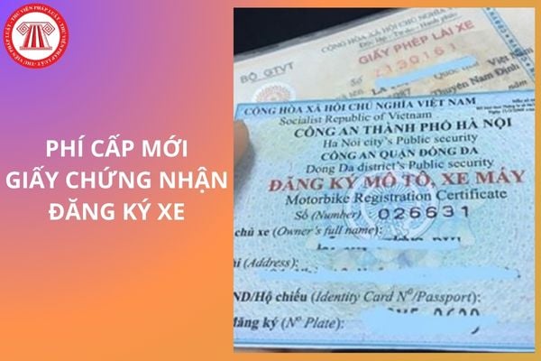 Hỏi đáp Pháp luật
