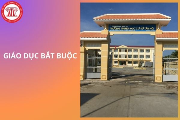 Giáo dục trung học cơ sở là giáo dục bắt buộc từ 01/07/2026 đúng không?