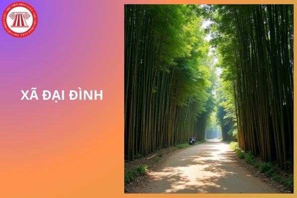 Xã Đại Đình tỉnh Phú Thọ gồm các xã nào hình thành sau sáp nhập?