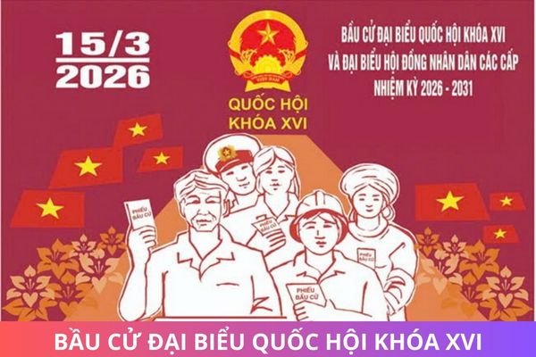 Hỏi đáp Pháp luật