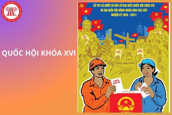 Hỏi đáp Pháp luật