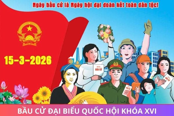 Hỏi đáp Pháp luật