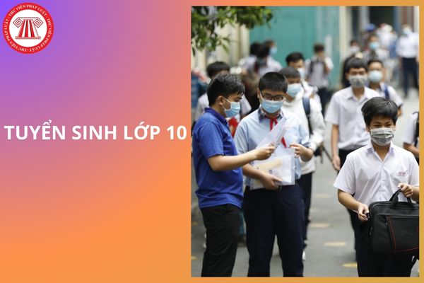 Chỉ tiêu tuyển sinh vào lớp 10 các trường công lập tỉnh Ninh Bình năm học 2025-2026 là bao nhiêu?