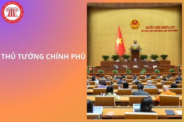 Hỏi đáp Pháp luật