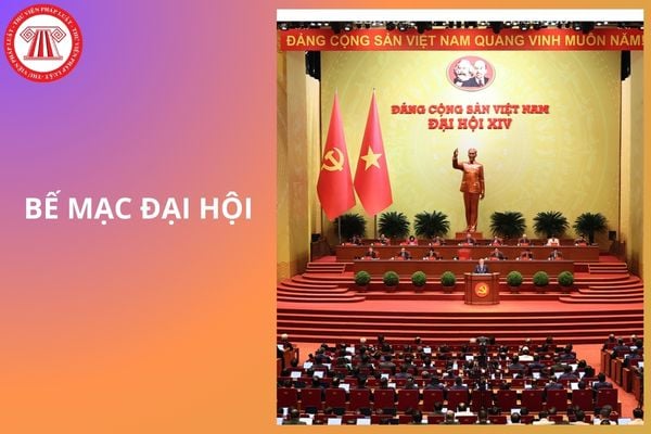 Hỏi đáp Pháp luật