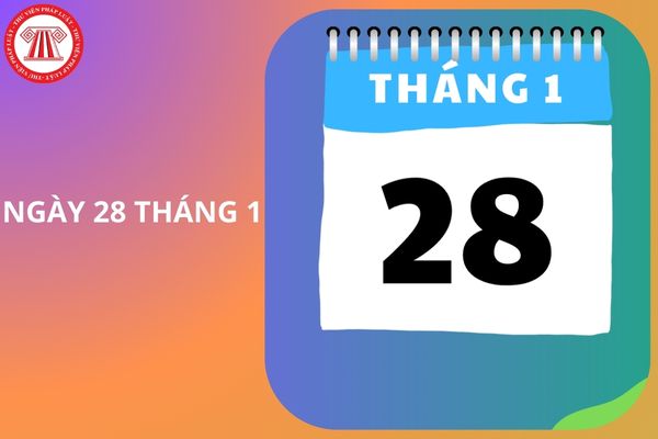 Hỏi đáp Pháp luật