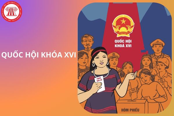 Hỏi đáp Pháp luật