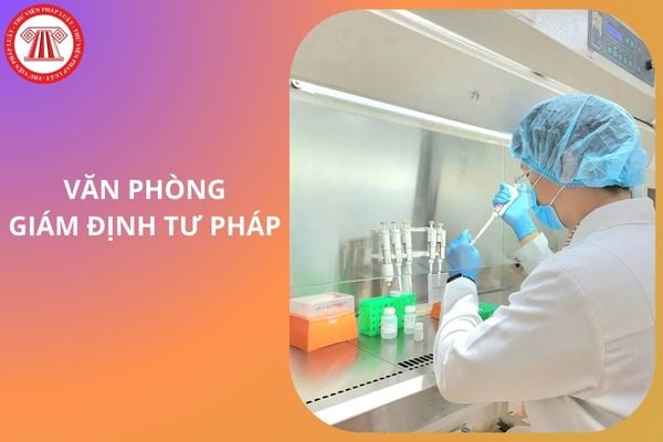 Hỏi đáp Pháp luật