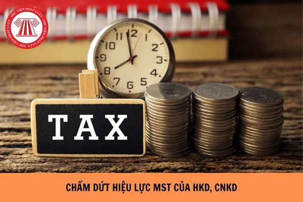 Hướng dẫn chấm dứt hiệu lực mã số thuế của HKD, CNKD trên Dịch vụ công thế nào?