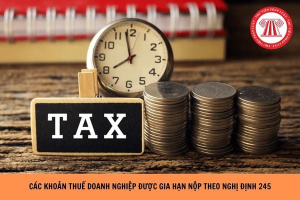 Hỏi đáp Pháp luật