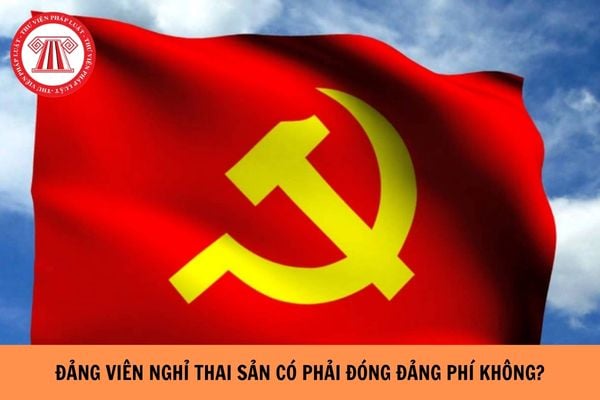Năm 2026 Đảng viên nghỉ thai sản có phải đóng đảng phí không?