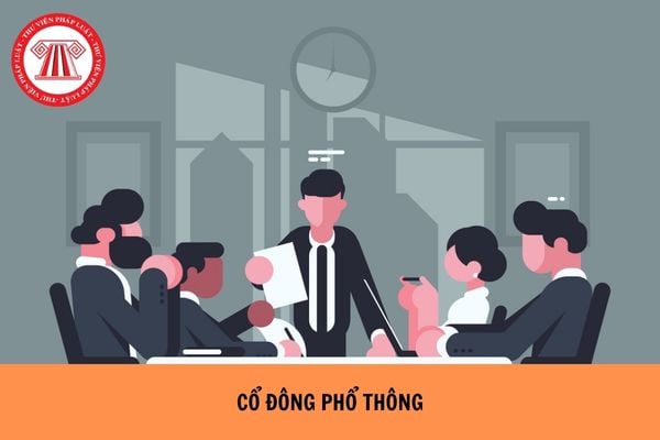 Hỏi đáp Pháp luật