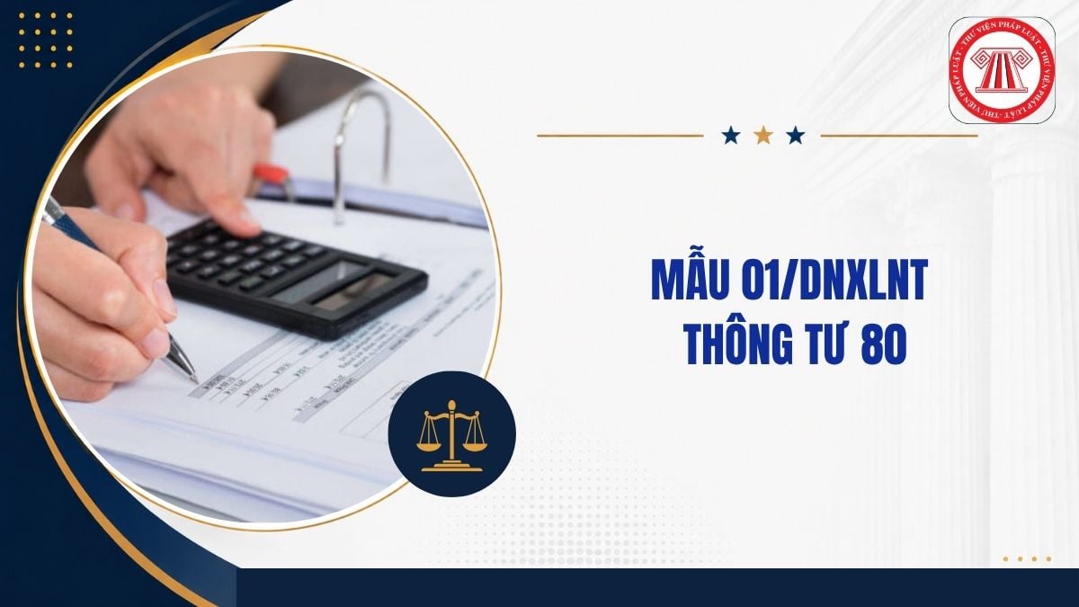 Hướng dẫn điền mẫu 01 DNXLNT Thông tư 80 chi tiết ra sao?