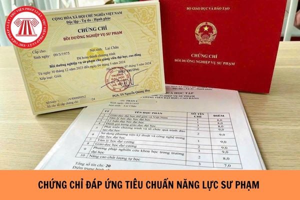 Các chứng chỉ được công nhận đáp ứng tiêu chuẩn về năng lực sư phạm dạy trình độ trung cấp gồm những gì?