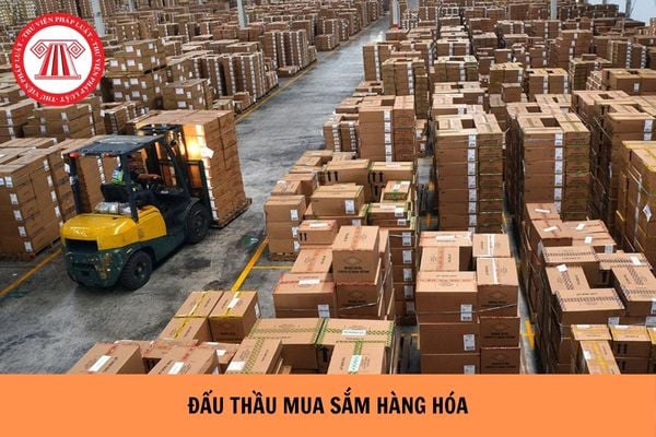 Hỏi đáp Pháp luật