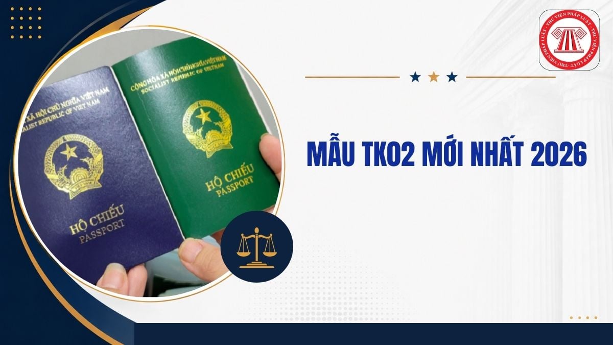 Mẫu TK02 mới nhất 2026 Tờ khai cấp hộ chiếu phổ thông ở nước ngoài dành cho người chưa đủ 14 tuổi ra sao?