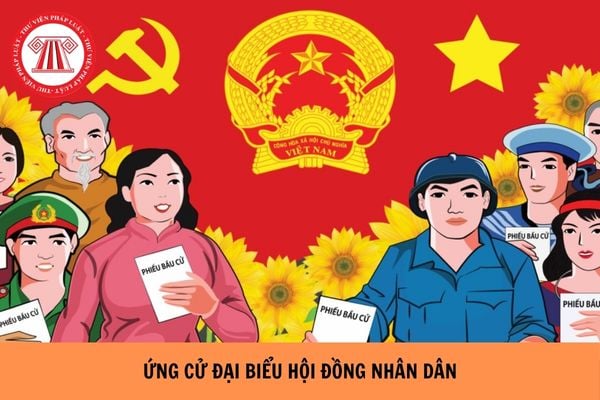 Hỏi đáp Pháp luật