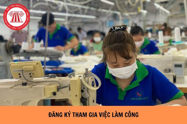 NLĐ tham gia việc làm công cần đăng ký với cơ quan nào? Nội dung đăng ký gồm những gì?