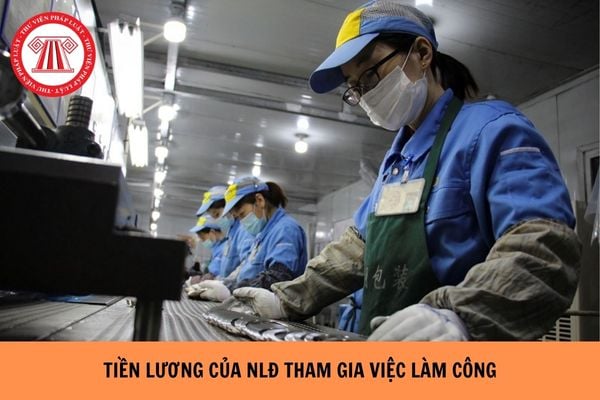 Hỏi đáp Pháp luật