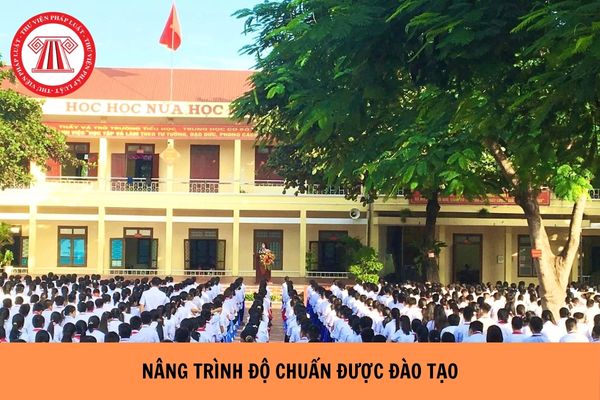 Hỏi đáp Pháp luật