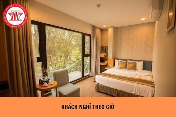 Hỏi đáp Pháp luật