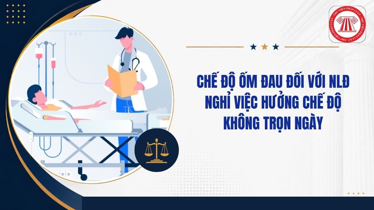 Hỏi đáp Pháp luật