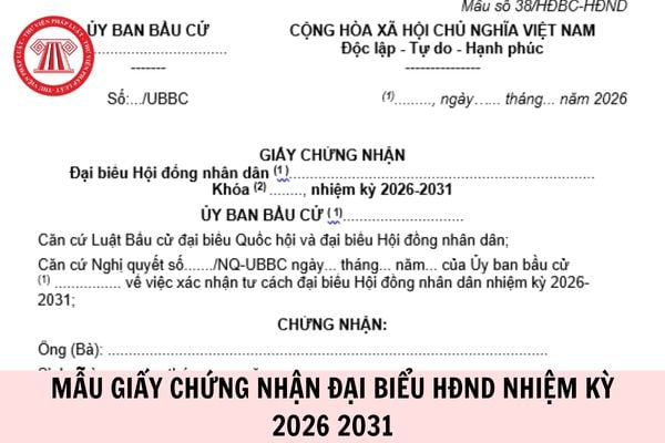 Hỏi đáp Pháp luật