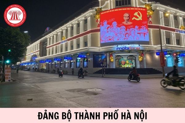 Hỏi đáp Pháp luật