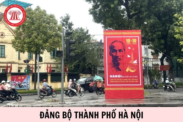 Hỏi đáp Pháp luật