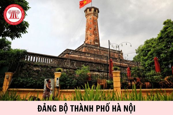 Hỏi đáp Pháp luật