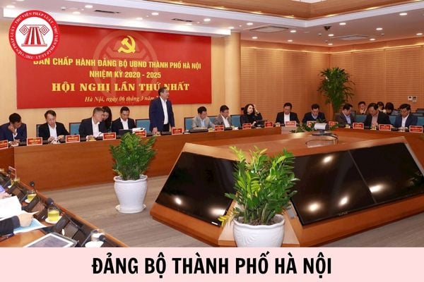 Hỏi đáp Pháp luật