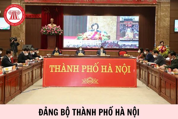 Hỏi đáp Pháp luật