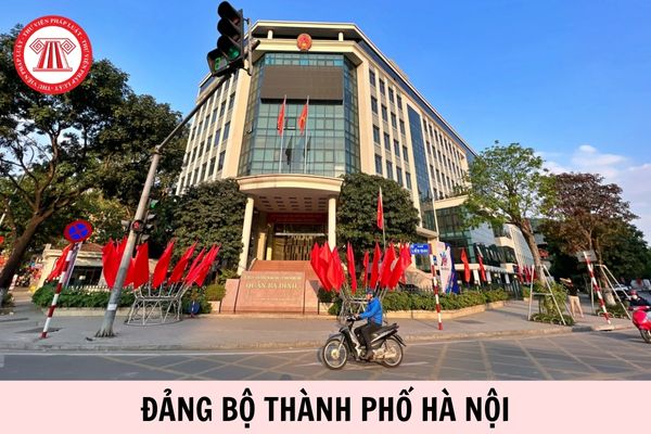 Hỏi đáp Pháp luật