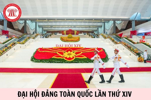 Hỏi đáp Pháp luật