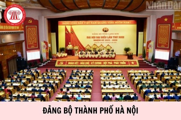 Hỏi đáp Pháp luật