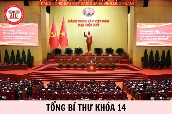 Hỏi đáp Pháp luật