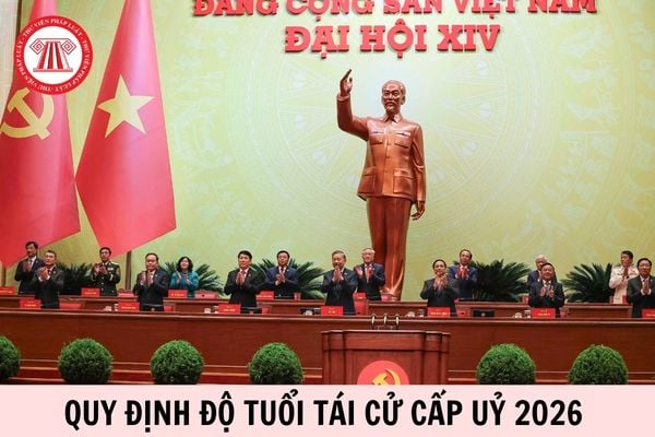 Hỏi đáp Pháp luật