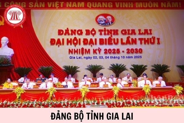 Hỏi đáp Pháp luật