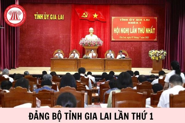 Hỏi đáp Pháp luật