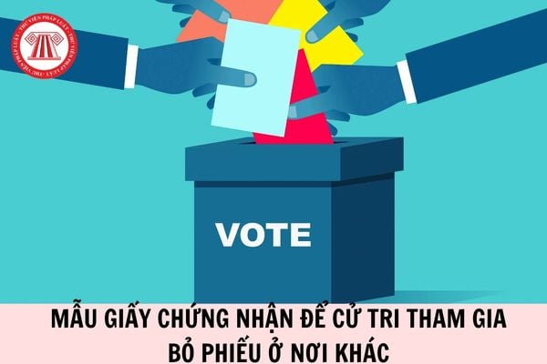 Hỏi đáp Pháp luật