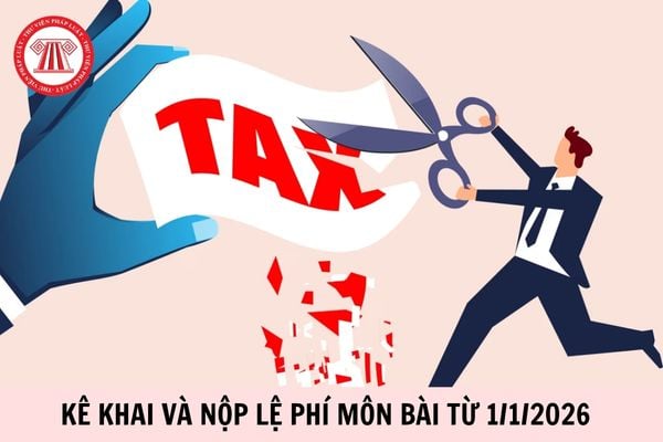 Hỏi đáp Pháp luật