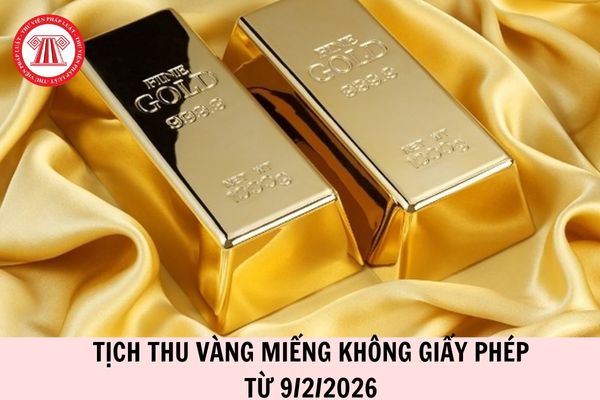 Hỏi đáp Pháp luật