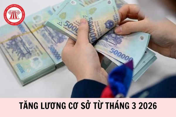 Hỏi đáp Pháp luật