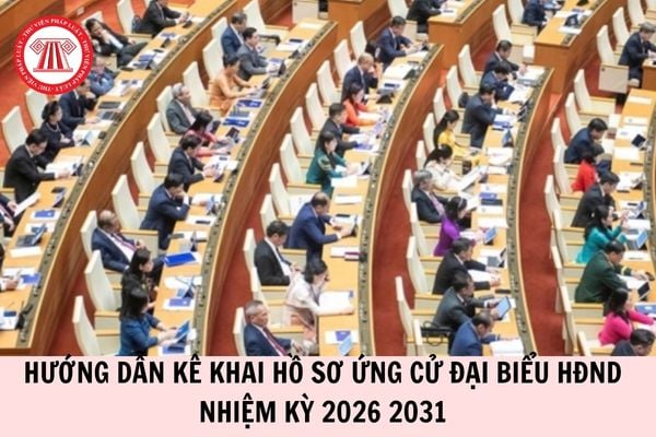 Hỏi đáp Pháp luật