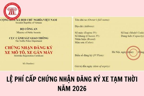Hỏi đáp Pháp luật