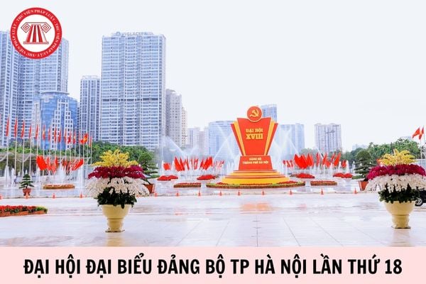 Theo tầm nhìn đến năm 2045, Hà Nội phấn đấu có trình độ phát triển ngang tầm thủ đô các nước phát triển ở phạm vi?
