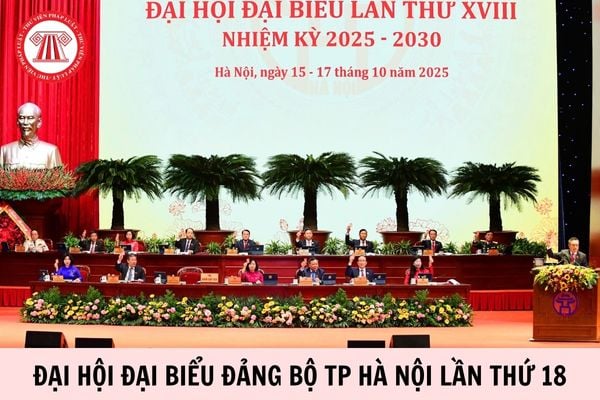 Hỏi đáp Pháp luật