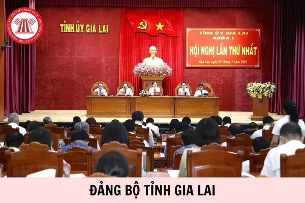 Hỏi đáp Pháp luật