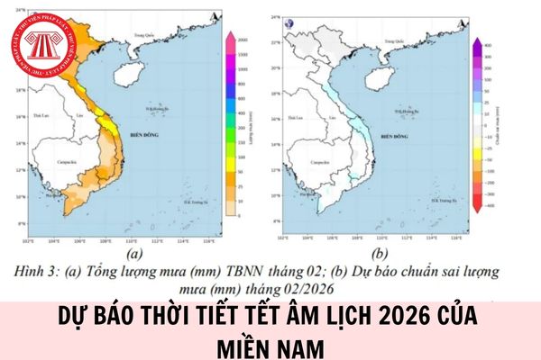 Dự báo thời tiết Tết âm lịch 2026 miền Nam chi tiết ra sao?