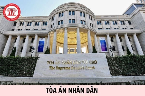 Hỏi đáp Pháp luật